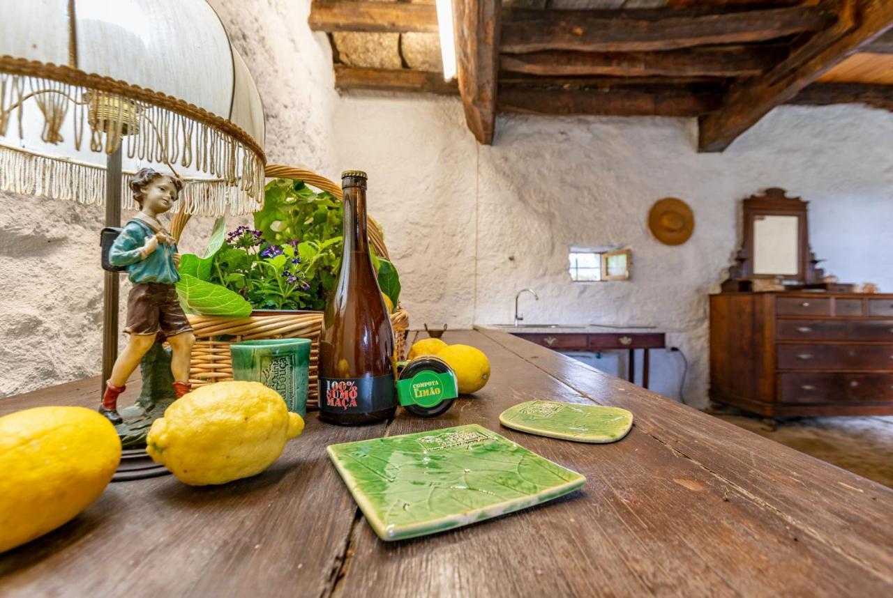Casa Lavoura Em Requeixo Vendégház Celorico De Basto Kültér fotó