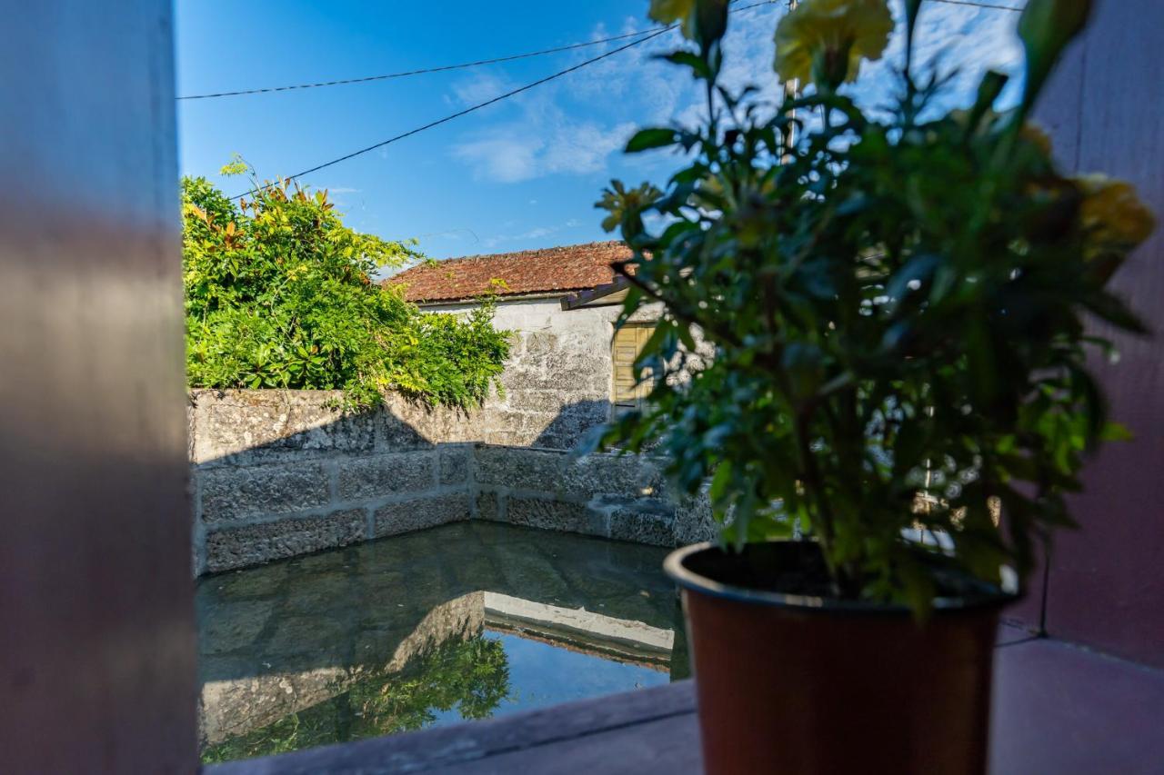Casa Lavoura Em Requeixo Vendégház Celorico De Basto Kültér fotó