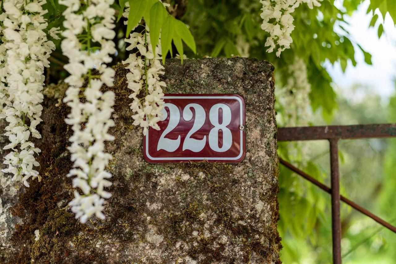 Casa Lavoura Em Requeixo Vendégház Celorico De Basto Kültér fotó
