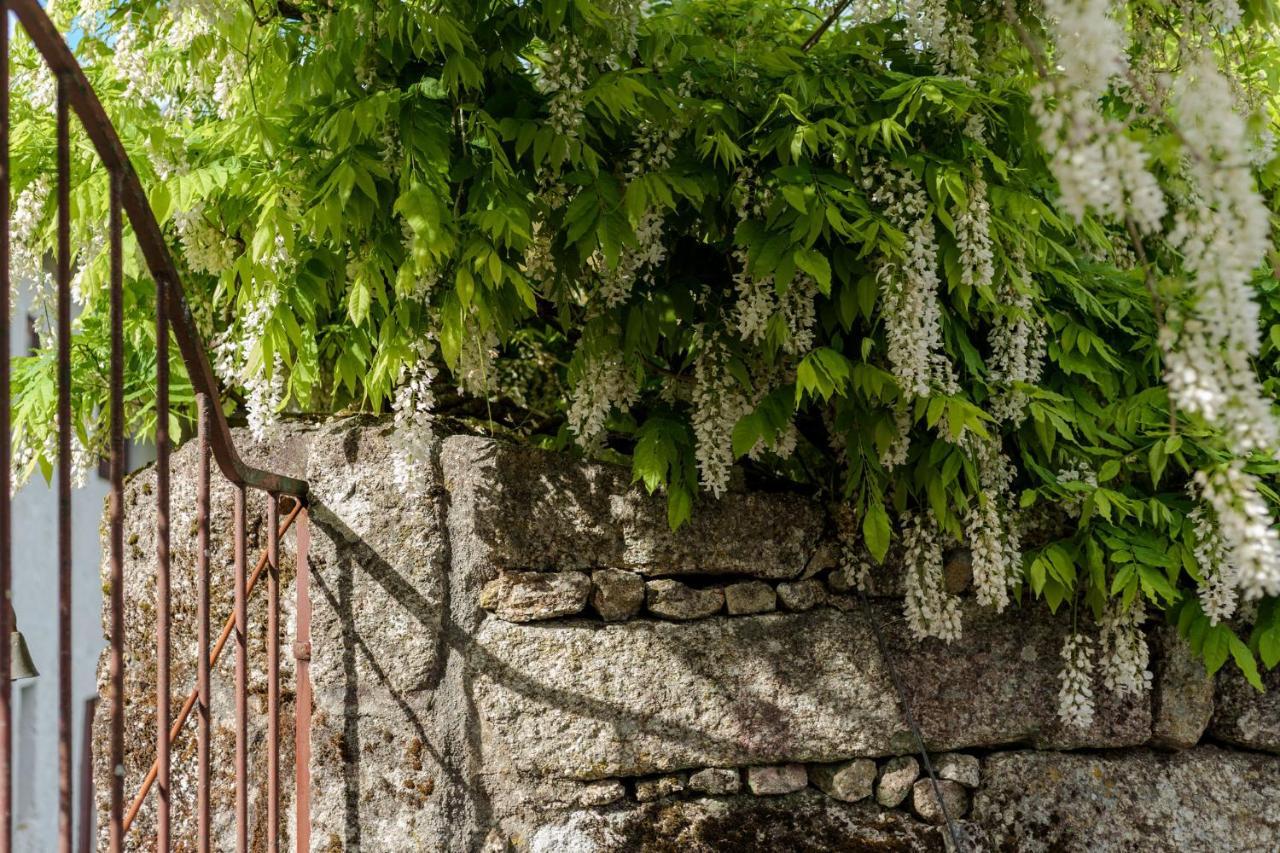 Casa Lavoura Em Requeixo Vendégház Celorico De Basto Kültér fotó