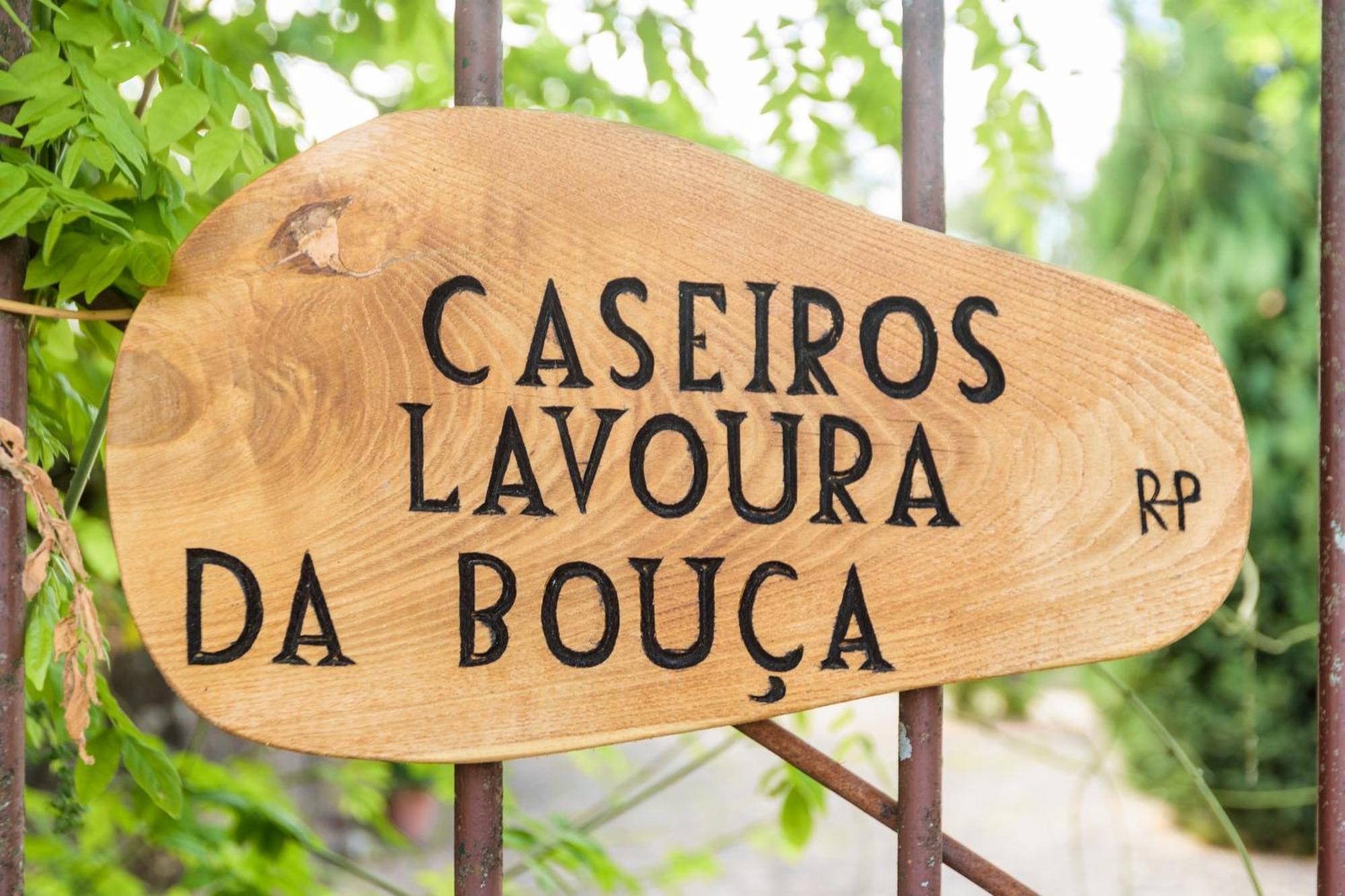 Casa Lavoura Em Requeixo Vendégház Celorico De Basto Kültér fotó